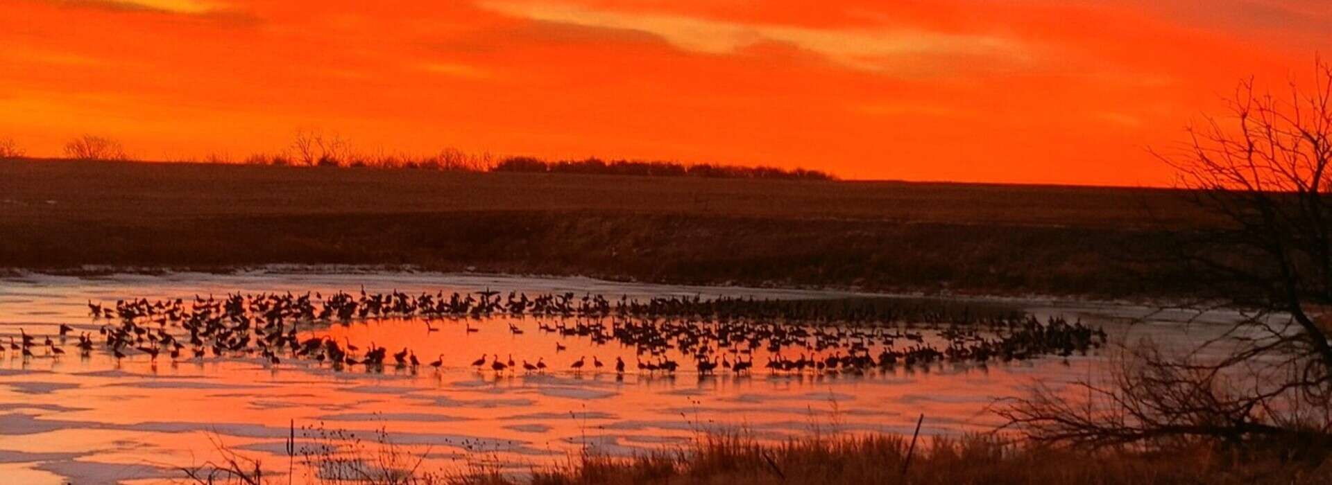 Kansas Waterfowl Hunts | Guided Waterfowl Hunts